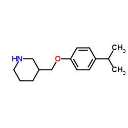 3-[(4-Isopropylphenoxy)methyl]piperidine结构式