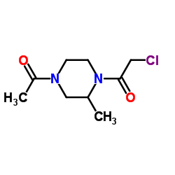 1-(4-Acetyl-2-methyl-1-piperazinyl)-2-chloroethanone结构式