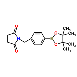 1449132-28-8 structure