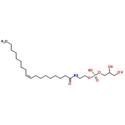 Glycerophospho-N-Oleoyl Ethanolamine picture