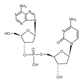 5'-dApdC-3' Structure