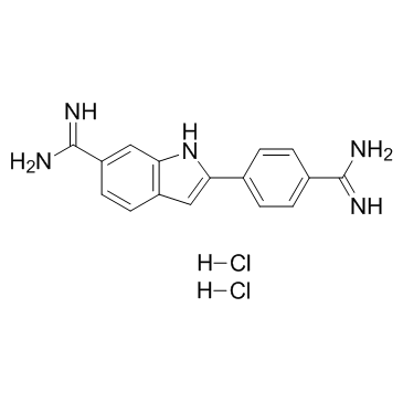 4',6-Diamidino-2-phenylindole dihydrochloride Structure