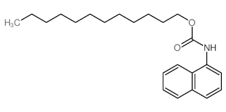 dodecyl N-naphthalen-1-ylcarbamate Structure