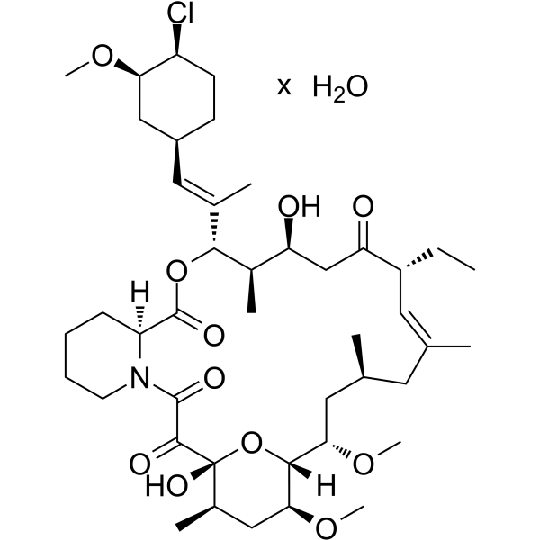 Pimecrolimus hydrate structure