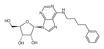 101565-58-6 structure