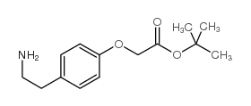 TERT-BUTYL [4-(2-AMINO-ETHYL)-PHENOXY]-ACETATE structure