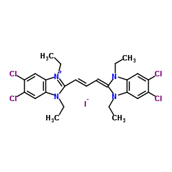 JC-1 iodide picture