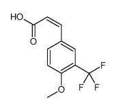 773131-67-2 structure