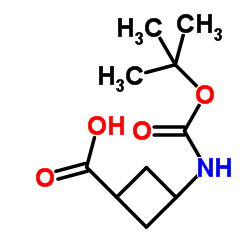 3-(Boc-amino)cyclobutanecarboxylic Acid picture