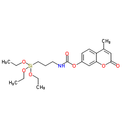 129119-78-4 structure