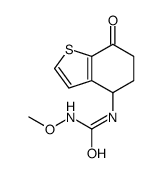 1-methoxy-3-(7-oxo-5,6-dihydro-4H-1-benzothiophen-4-yl)urea Structure