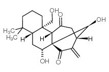 香茶菜甲素结构式