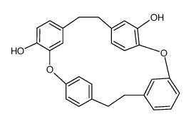 2,14-Dioxapentacyclo[20.2.2.210,13.13,7.115,19]triaconta-3,5,7(30),10,12,15,17,19(27),22,24(1),25,28-dodecaene-4,12-diol Structure