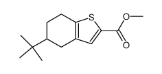 5-tert-butyltetrahydrobenzo(b)thiophene-2-carboxylic acid methyl ester Structure