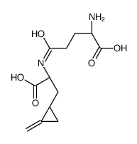 HYPOGLYCINB Structure