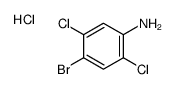 4-bromo-2,5-dichloroaniline,hydrochloride Structure