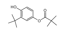 2-tert-butyl-4-pivaloyloxyphenol Structure