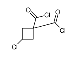 89582-02-5 structure