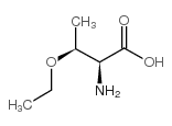 (2S,3S)-(+)-2,3-BIS(DIPHENYLPHOSPHINO)BICYCLO[2.2.1]HEPTANE picture