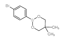 4-Bromobenzeneboronic acid neopentyl glycol cyclic ester picture