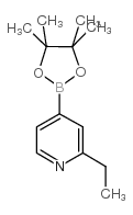 2-Ethyl-4-(4,4,5,5-tetramethyl-1,3,2-dioxaborolan-2-yl)pyridine picture