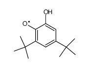 3,5-di-tert-butylcatechol radical结构式