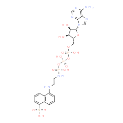 adenosine-5'-triphosphoro-gamma-1-(5-sulfonic acid)naphthyl ethylamidate Structure