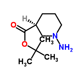 (S)-tert-Butyl 1-aminopiperidine-3-carboxylate Structure