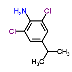 2,6-Dichloro-4-isopropylaniline picture