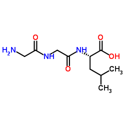 Gly-gly-leu structure