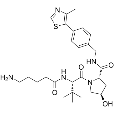 2138439-53-7 structure