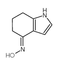 (E)-6,7-二氢-1H-吲哚-4(5h)-酮肟结构式