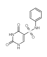 2,4-dioxo-N-phenyl-1H-pyrimidine-5-sulfonamide structure