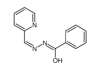 N-(pyridin-2-ylmethylideneamino)benzamide Structure