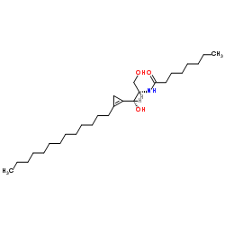 GT-11 Structure