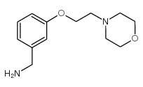 3-(2-MORPHOLINOETHOXY)PHENYL]METHYLAMINE structure