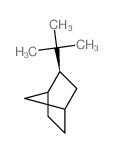 Bicyclo[2.2.1]heptane,2-(1,1-dimethylethyl)-, exo- (9CI) picture