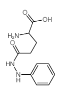 2-amino-4-(anilinocarbamoyl)butanoic acid structure