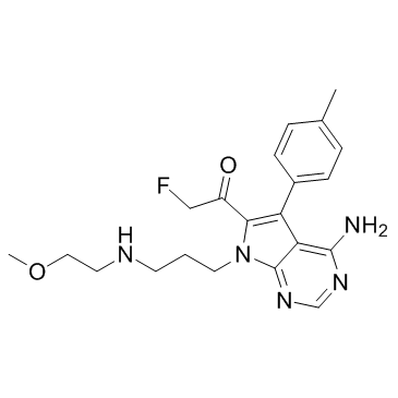 FMK-MEA Structure