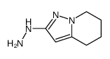 Pyrazolo[1,5-a]pyridin-2(1H)-one,4,5,6,7-tetrahydro-,hydrazone (9CI) picture