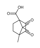 4,7,7-TRIMETHYL-2,3-DIOXOBICYCLO[2.2.1]HEPTANE-1-CARBOXYLIC ACID Structure