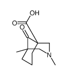 3-Azabicyclo[3.3.1]nonane-1-carboxylicacid,3,5-dimethyl-9-oxo-(9CI) picture