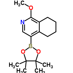 872175-75-2 structure