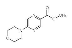 1017604-09-9 structure