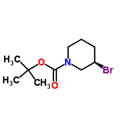 (R)-3-Bromo-piperidine-1-carboxylic acid tert-butyl ester picture