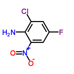2-氯-4-氟-6-硝基苯胺图片