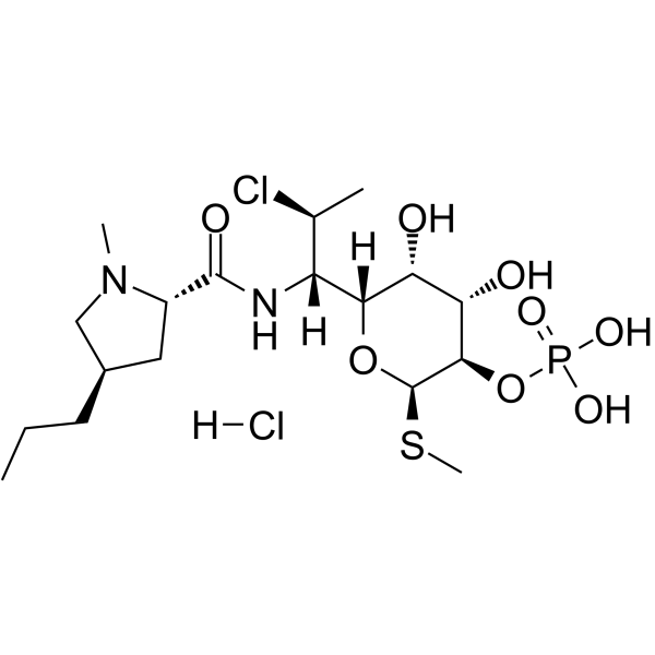 64023-51-4 structure