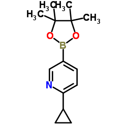 6-环丙基吡啶-3-硼酸频那醇酯图片