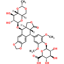 etoposide glucuronide structure