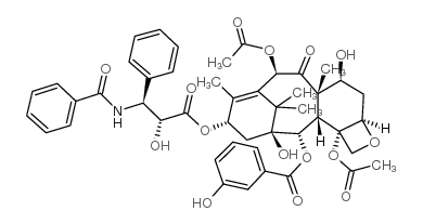 2-m-hydroxy paclitaxel图片